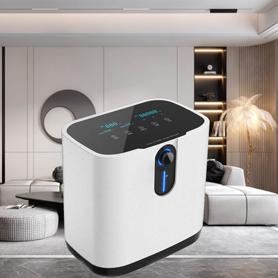 1リットルのOxgenの病院のための携帯用O2コンセントレイターの酸素の発電機