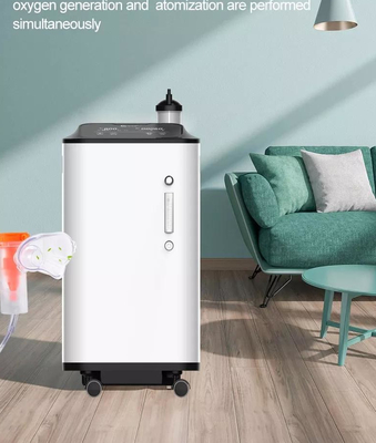 世帯の噴霧器が付いている医学10L携帯用酸素のコンセントレイター