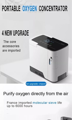 2つのL噴霧器の医学の酸素のコンセントレイターの発電機自宅で