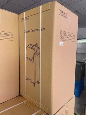 完全で理性的な携帯用噴霧器の酸素機械発電機10リットル