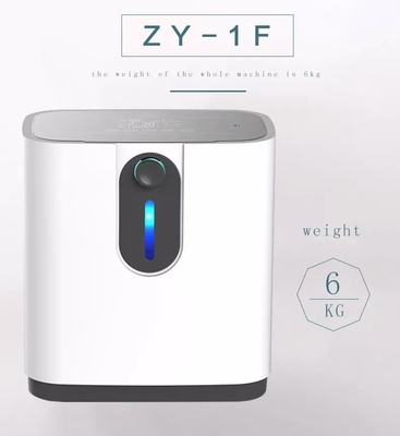 OEMは20のLpm 5つのL PSAの世帯の酸素の発電機のコンセントレイターを静める